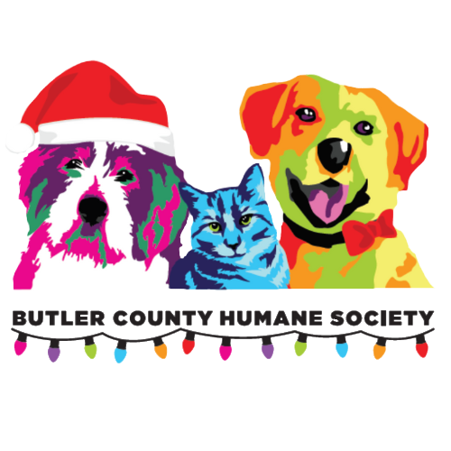 Christmas Carol Bingo - logo